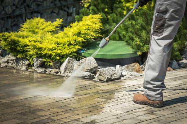 Best Dumpster Area Cleaning  in Port Wentworth, GA