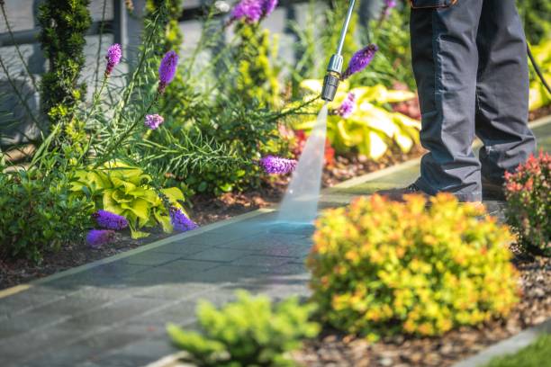 Best Sidewalk and Walkway Cleaning  in Port Wentworth, GA